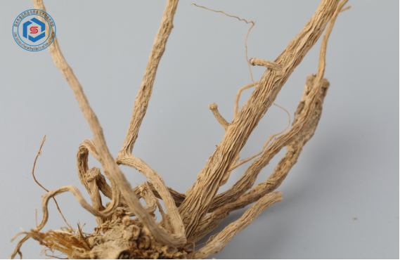 表面灰黄色,具细密的纵皱纹及须根痕.   上图为狗骨草的药材.